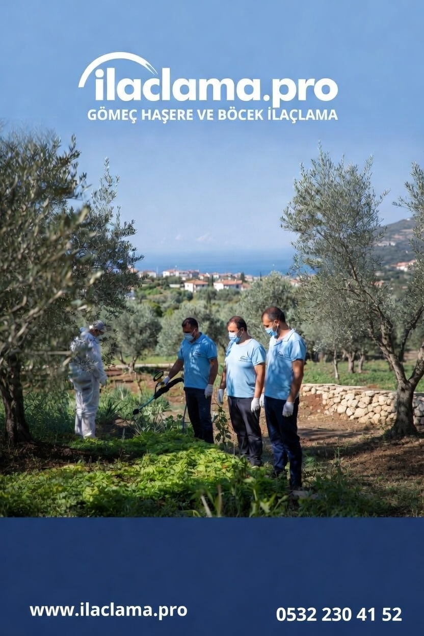 Gömeç Haşere ve Böcek İlaçlama